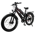 high end double battery mountain ebike electric fat bike